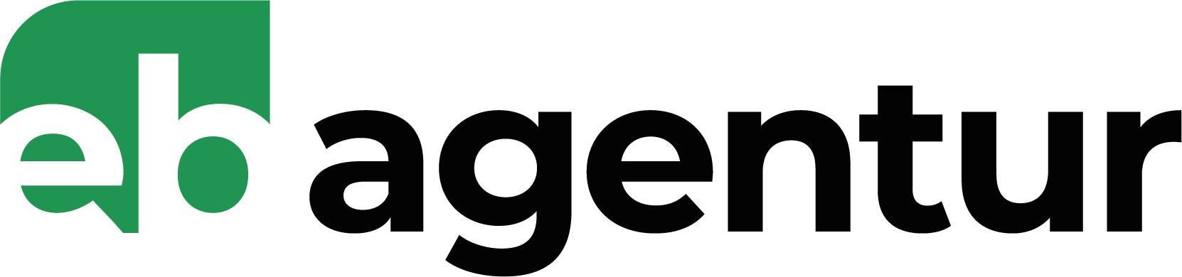 ebagentur.com